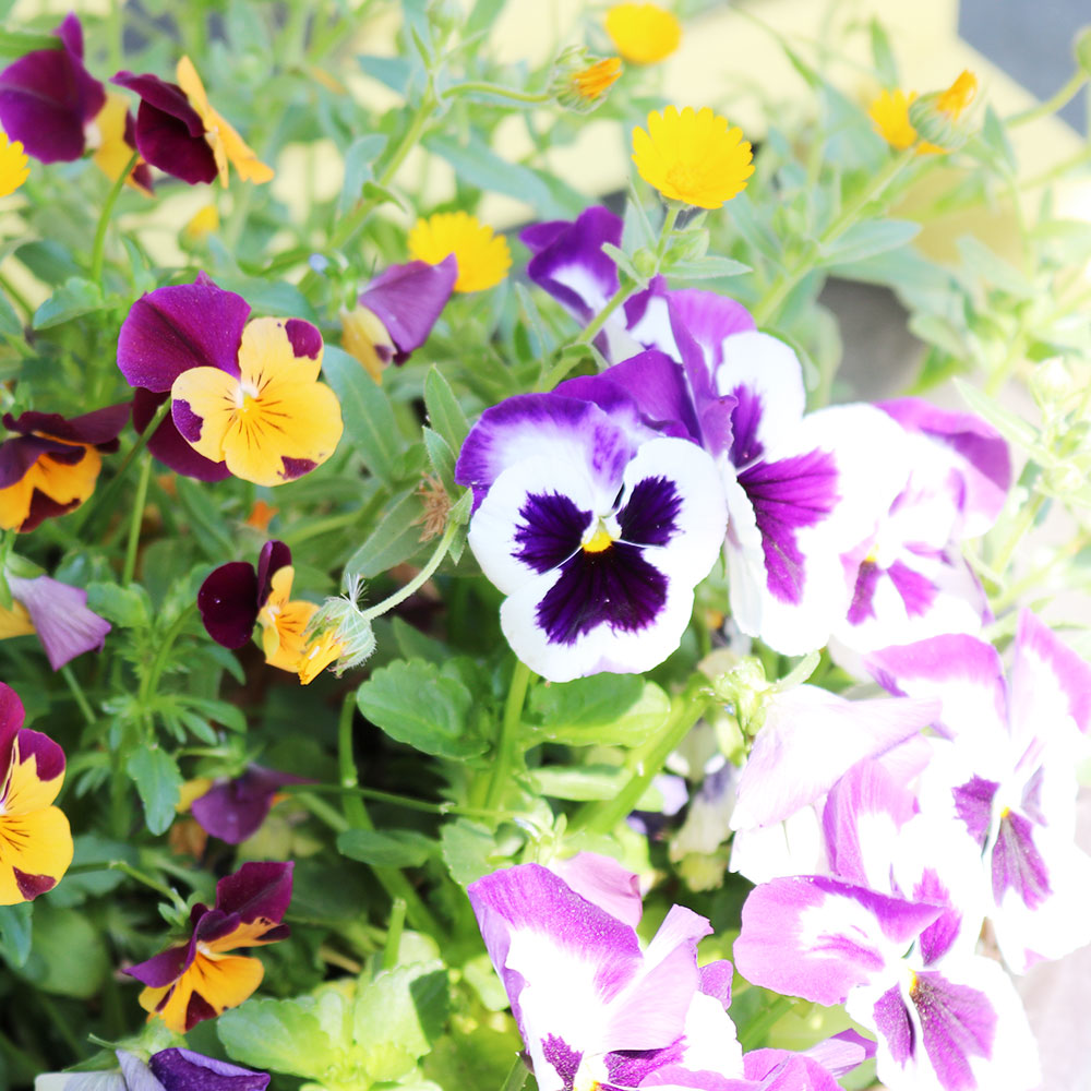 写真05