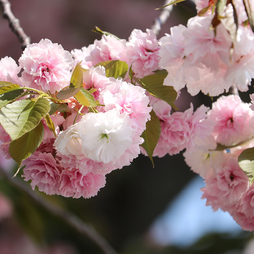 写真06